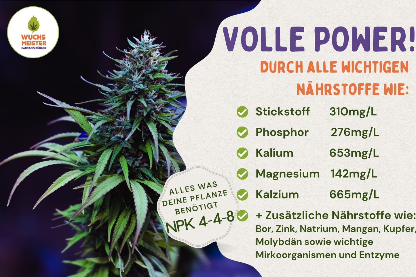 Wuchsmeister Brennnesseljauche 1L organischer Grow Cannabis Dünger All in One für Cannabispflanzen Wachstumsphase und Blütephase - Indoor und Outdoor
