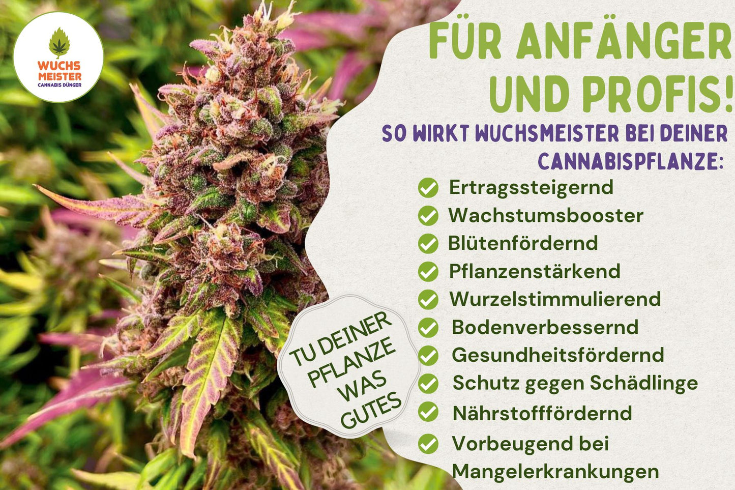 Wuchsmeister Brennnesseljauche organischer 10L Grow Cannabis Dünger All in One für Cannabispflanzen Wachstumsphase und Blütephase - Indoor und Outdoor