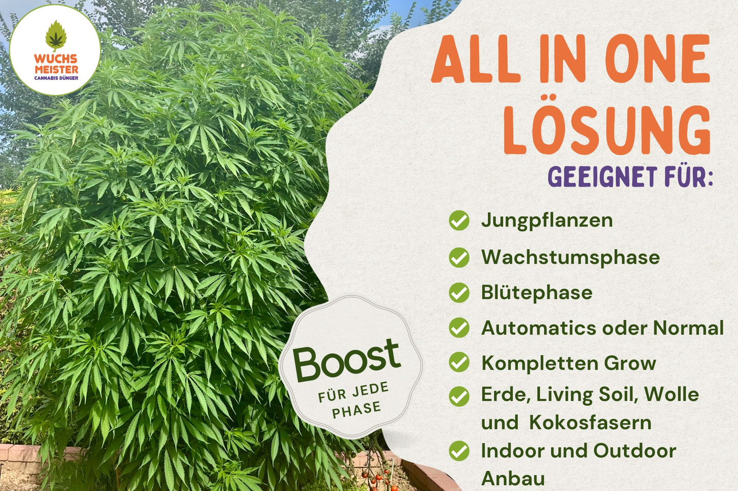 Wuchsmeister Brennnesseljauche 1L organischer Grow Cannabis Dünger All in One für Cannabispflanzen Wachstumsphase und Blütephase - Indoor und Outdoor