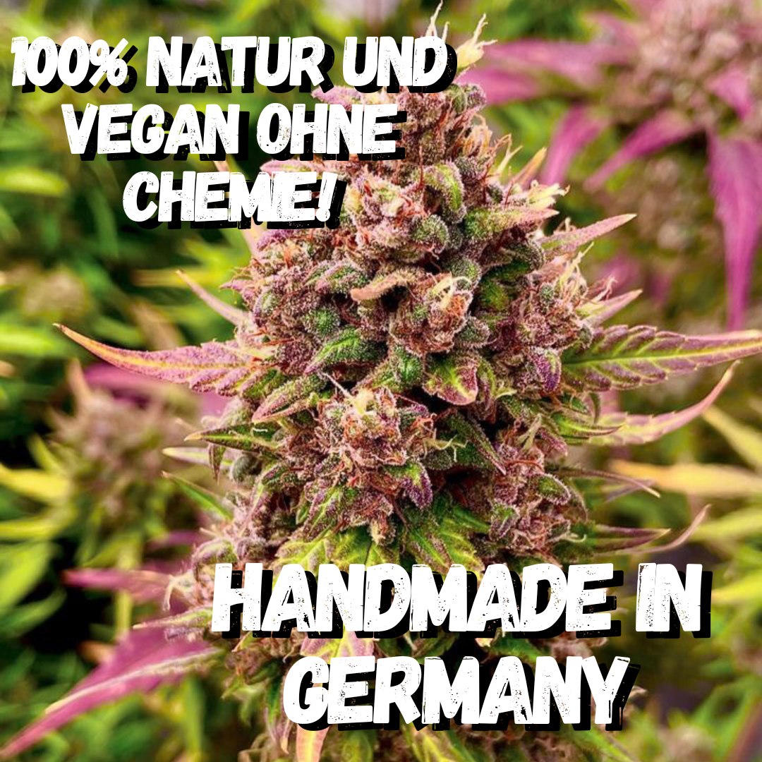 Wuchsmeister Brennnesseljauche organischer 10L Grow Cannabis Dünger All in One für Cannabispflanzen Wachstumsphase und Blütephase - Indoor und Outdoor